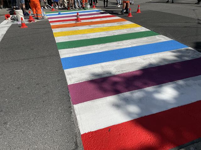 Vor dem HOSI-Vereinszentrum im Andräviertel erstrahlt seit dem Vorjahr ein Zebrastreifen in den Farben des Regenbogens. | Foto: Lisa Gold