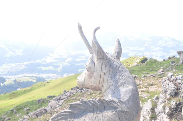 Foto: Kogler