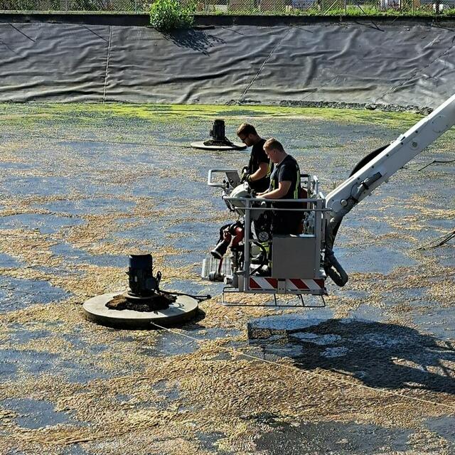 Die vier kleinen Falken waren in verschiedenen Bereichen der Anlage verstreut und sichtlich erschöpft. | Foto: FF Ybbs