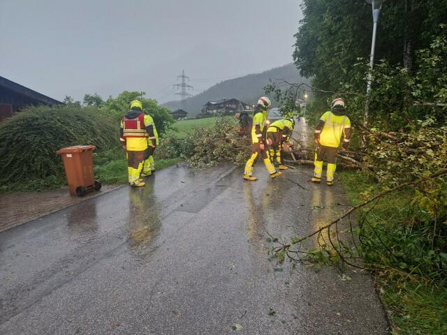 In Neukirchen stürzten einige Bäume auf Straßen. | Foto: Feuerwehr Neukirchen