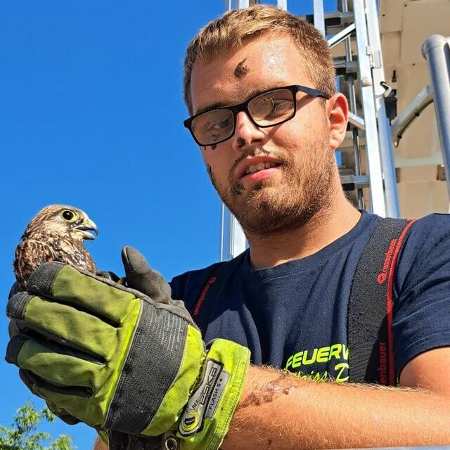 Nach der erfolgreichen Rettung war der Zustand der jungen Falken weiterhin besorgniserregend, da sie mit Klärschlamm bedeckt waren.  | Foto: FF Ybbs