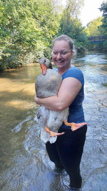 Die Hausgans "Schnecke" konnte sich nicht selbst befreien. Der Tierschutzverein Katzfatz half in der Not. | Foto: TSV Katzfatz