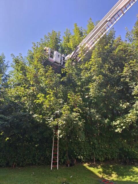 Sonntagnachmittag rückte die Freiwillige Feuerwehr St. Johann für eine Tierrettung aus. | Foto: Freiwillige Feuerwehr St. Johann