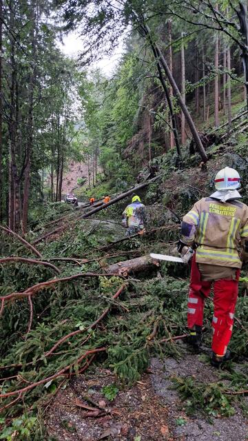 Die Einsatzkräfte der Freiwilligen Feuerwehren stand neuerlich im Dauereinsatz. | Foto: zoom.tirol