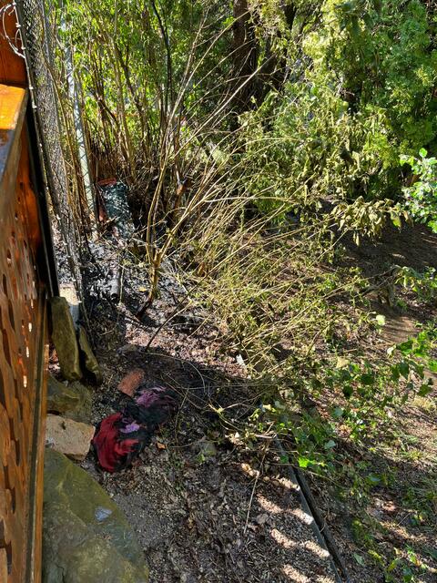 Aufgrund eines Heckenbrandes rückten zwei Tankfahrzeuge der Freiwilligen Feuerwehr Pressbaum aus. | Foto: FF Pressbaum