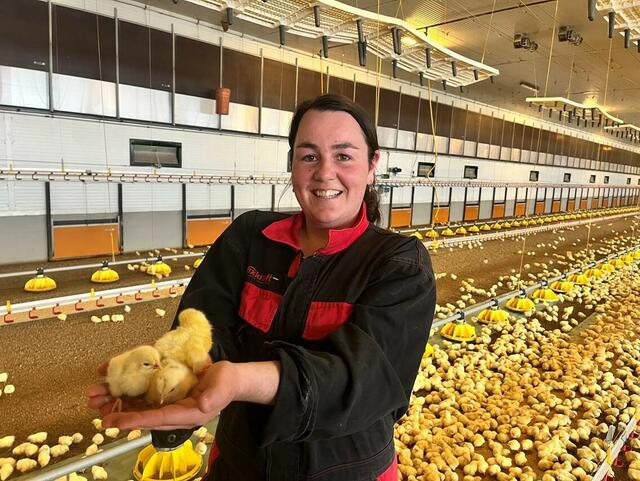 Bei der "Tierwohl"-Haltung wird auf langsamer wachsende Geflügelrassen gesetzt. | Foto: GGÖ