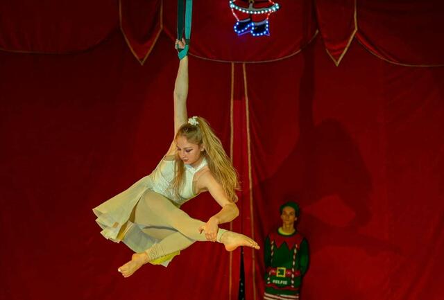 Susanne Haberl begann schon mit sechs Jahren im Kunstturnen, mittlerweile hat sie ihre Leidenschaft für den Zirkus entdeckt.  | Foto: Josef Grunwald