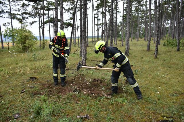 Waldbrandbekämpfung mit eigenem Spezialwerkzeug.