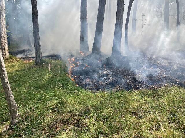 Die hohen Temperaturen erschwerten diese Arbeiten erheblich.
 | Foto: Freiwillige Feuerwehr St.Veit/Triesting