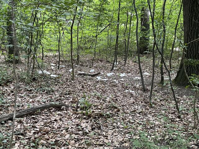 Symbolfoto: bei illegal entsorgtem Müll drohen hohe Strafen. | Foto: Michael J. Payer