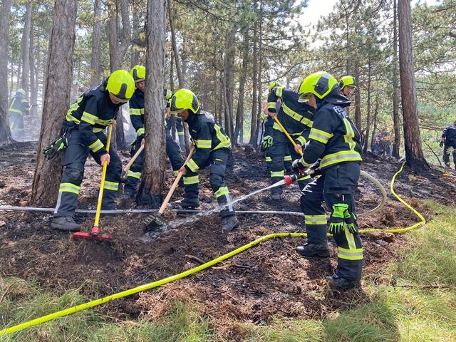Foto: Freiwillige Feuerwehr St.Veit/Triesting