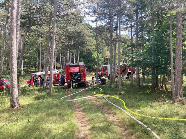 Foto: Freiwillige Feuerwehr St.Veit/Triesting