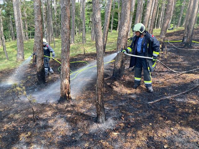 Gegen 15:00 Uhr konnte die Einsatzleitung schließlich "Brand aus" melden. | Foto: Freiwillige Feuerwehr St.Veit/Triesting