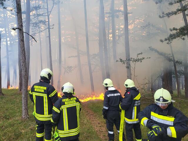 Dank des schnellen und koordinierten Einsatzes konnte der Brand relativ rasch unter Kontrolle gebracht werden. | Foto: Freiwillige Feuerwehr St.Veit/Triesting