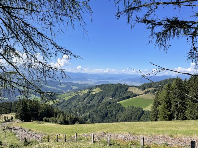 Bei einer Wanderung wurde eine Murtalerin sexuell belästigt. | Foto: MeinBezirk