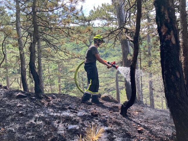 Foto: Freiwillige Feuerwehr St.Veit/Triesting