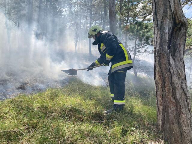 Foto: Freiwillige Feuerwehr St.Veit/Triesting