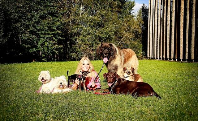Karina Painsipp betreibt seit 2006 eine Hundepension. | Foto: Privat