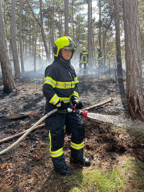Foto: Freiwillige Feuerwehr St.Veit/Triesting