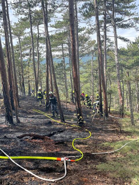 Foto: Freiwillige Feuerwehr St.Veit/Triesting