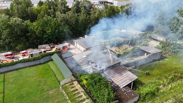 Foto: FOTOKERSCHI.AT