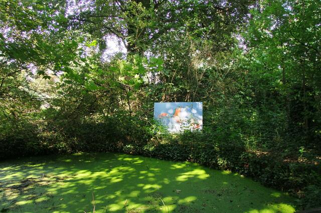 Foto am kleinen Teich