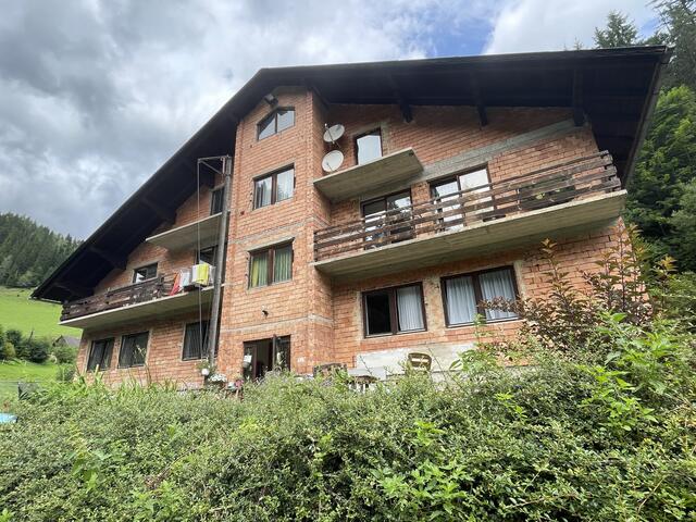 Der Verein "Stibis Hundeparadies" hat in St. Barbara ein Haus für Hunde angekauft, um ihnen ein Zuhause zu geben.  | Foto: Koidl