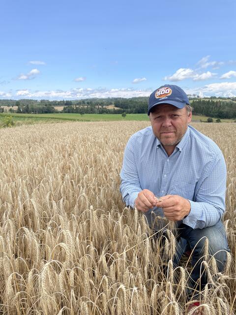 Bezirksbauernkammerobmann Christoph Kadrnoschka auf einem Feld bei Oberpfaffendorf (Gemeinde Raabs). Das Korn steht nicht dicht wie sonst. | Foto: Daniel Schmidt