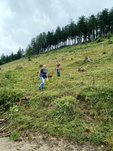 Im Zuge der gemeinsamen Schwendaktion wurden unter anderem kleine Bäume, Gebüsche und Zwergsträucher geschnitten. | Foto: NUP Eisenwurzen