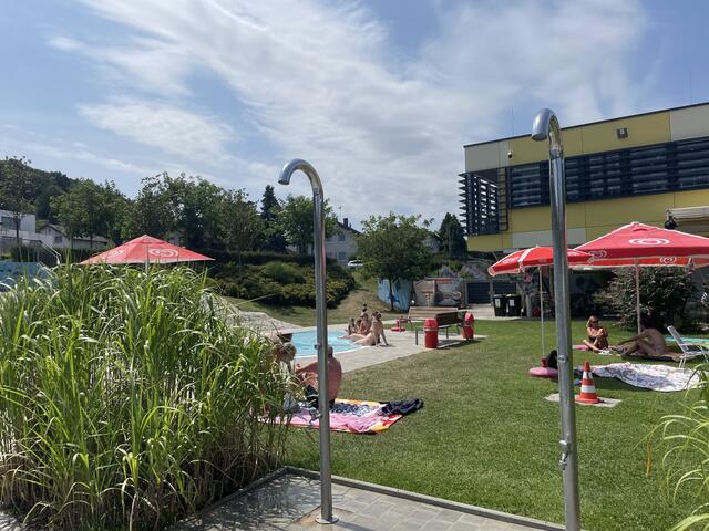 Auch Insektenstiche können den Tag vermiesen. | Foto: Nina Taurok