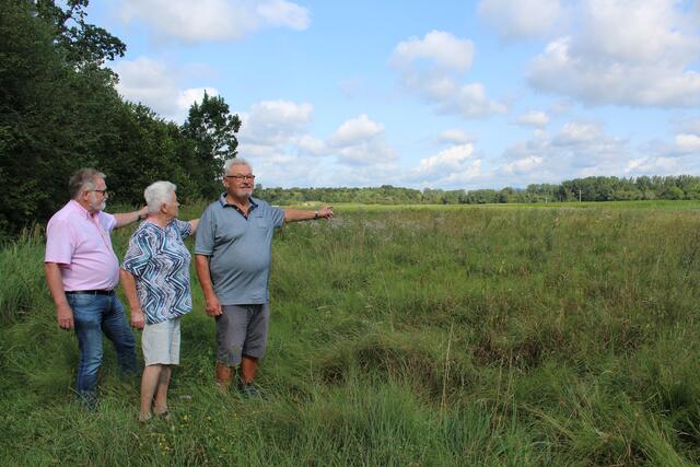 Harald Pramhaas sowie Elfriede und Franz Witzeneder beim Lokalaugenschein im Bereich Erlengraben, wo die PV-Anlage entstehen soll.  | Foto: Ulrike Plank