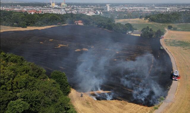 Waldbrandgefahr in Wien: so hoch schätzt man bei der Stadt derzeit das Risiko ein. Hier eine Szene vom Wiesenbrand beim Böhmischen Prater vom Juli 2023. | Foto: Franz Reinhardt