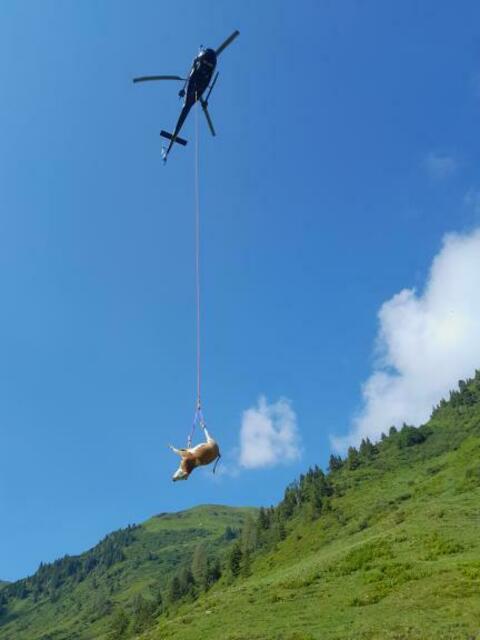 Foto: Aschbacher