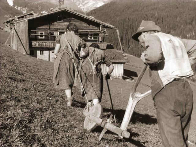 "Tirols Transformation: Vom Gebirge zur Industriekraft" Vorpflügen im Tuxertal im Jahr 1943. | Foto: Erika Hubatschek