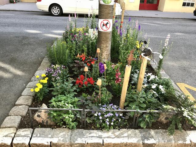 In ganz Wien kann man spezifische Baumscheiben selber begrünen. Einfach eine Anfrage an die Gebietsbetreuung unter www.gbstern.at senden.  | Foto: Blöchinger