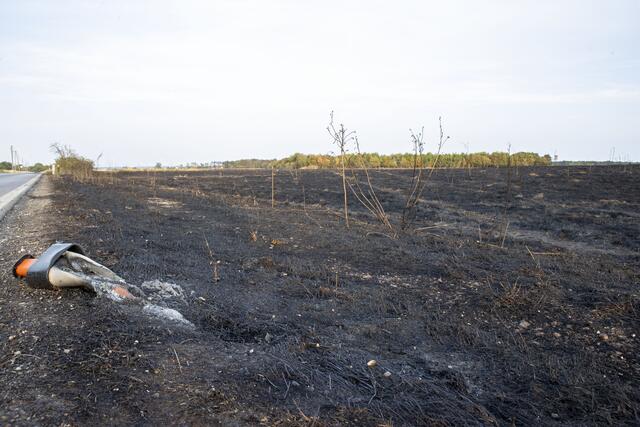 Ausgebrannte Flächen nach einem Wald- und Flurbrand in Seyring in Gerasdorf bei Wien (Bezirk Korneuburg) am 23. Juli 2023. | Foto: TOBIAS STEINMAURER / APA / picturedesk.com