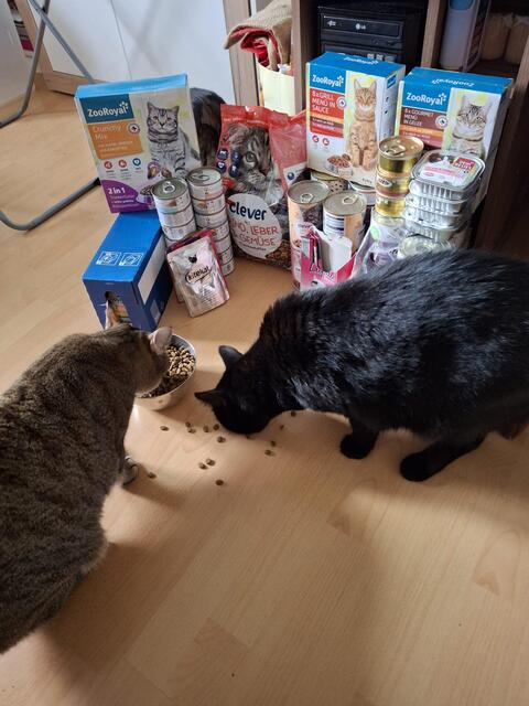 Von der Tiertafel: Die Tierbesitzerinnen und Tierbesitzer schicken Fotos von ihren Tieren und den erhaltenen Spenden.  | Foto: Stibi