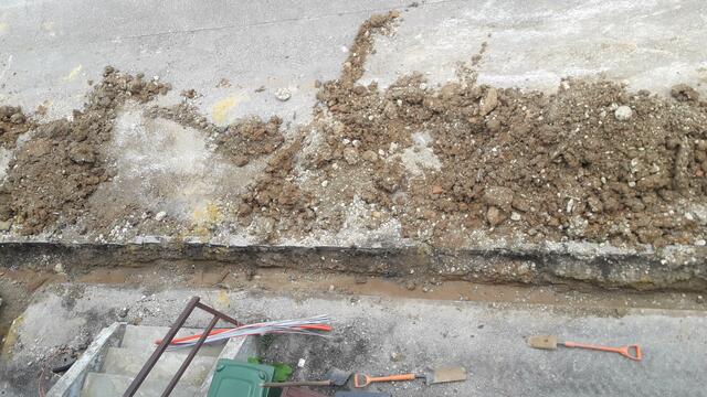 Kein Rauskommen. | Foto: privat