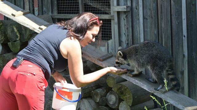 Foto: Norbert Ortner