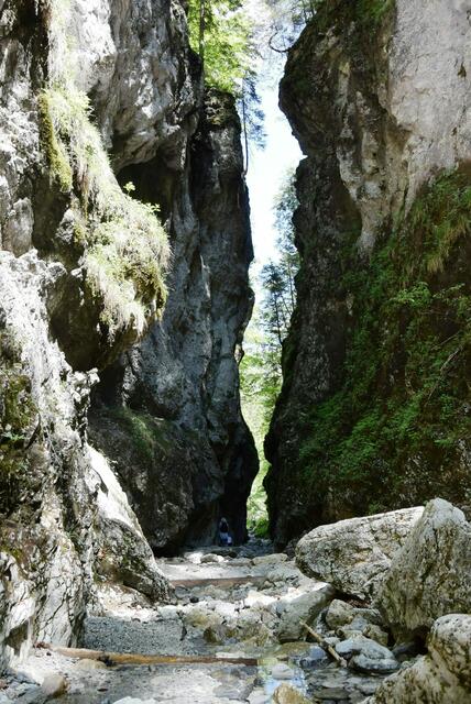 Idyllisch: Der Besuch der Roßlochklamm war immer ein Erlebnis.  | Foto: Nierer
