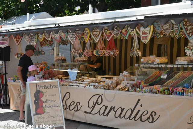 Foto: Gerald Dreisiebner