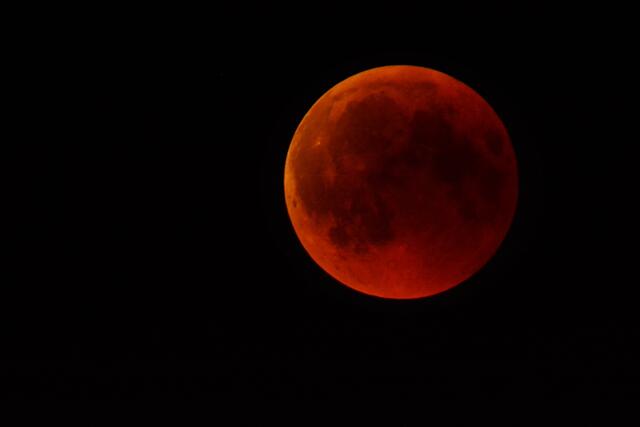 Am 8. November gibt es in Österreich eine totale Mondfinsternis. Der Höhepunkt ist um 12:02.
