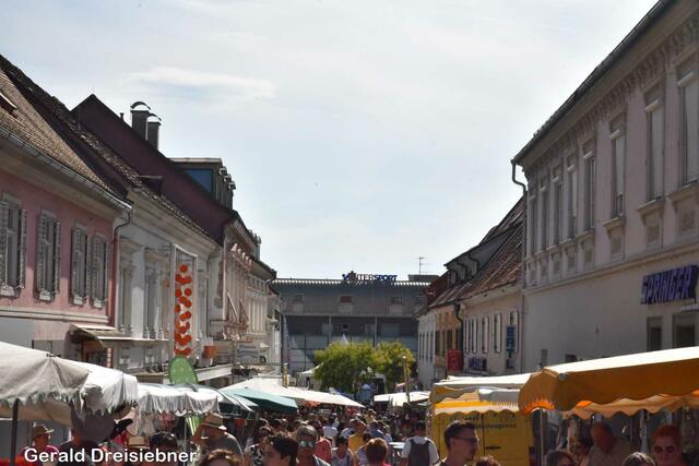 Foto: Gerald Dreisiebner