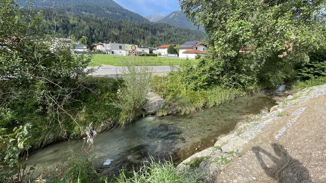 An schönen Tagen: Fische im Wasser und Verschmutzungen in und außerhalb. 