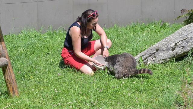 Foto: Norbert Ortner