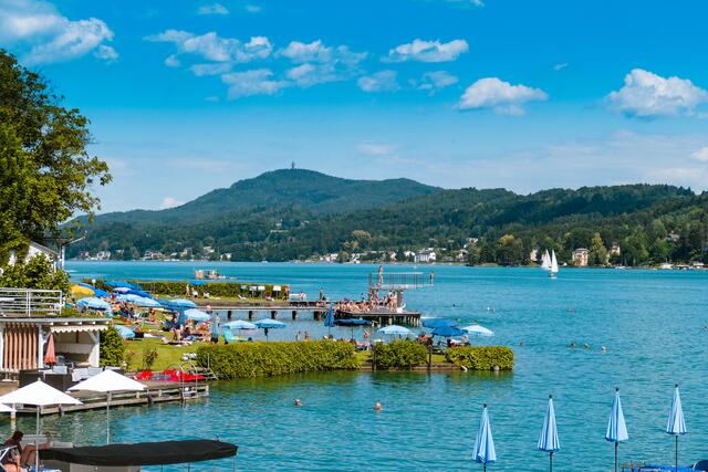 Zerkarien können auch in Kärnten vorkommen. (Symbolfoto) | Foto: stock.adobe.com/at/Silke Koch