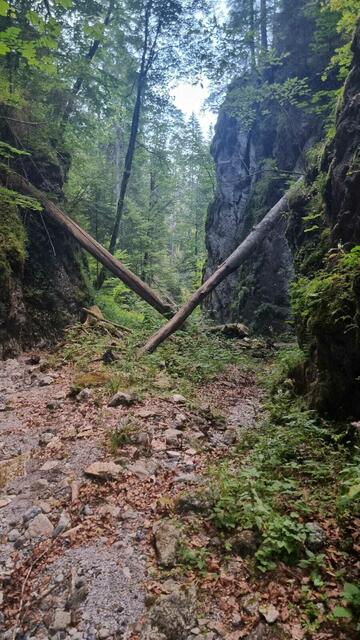 Windwürfe und Felsstürze haben die Roßlochklamm unbegehbar gemacht.