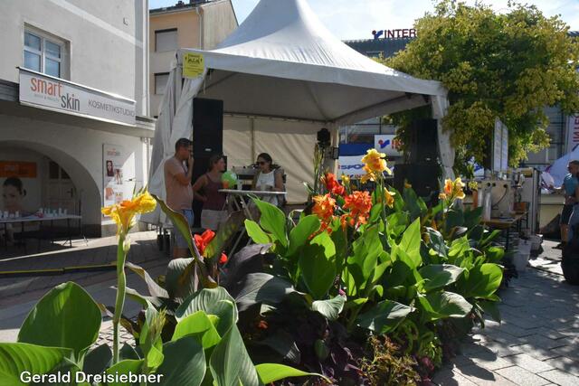 Foto: Gerald Dreisiebner