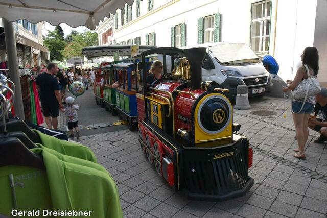 Foto: Gerald Dreisiebner