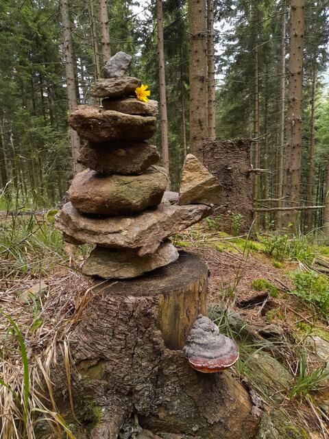 Hab mehrere gebaut und viele gesehen